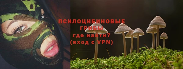 герыч Алексин