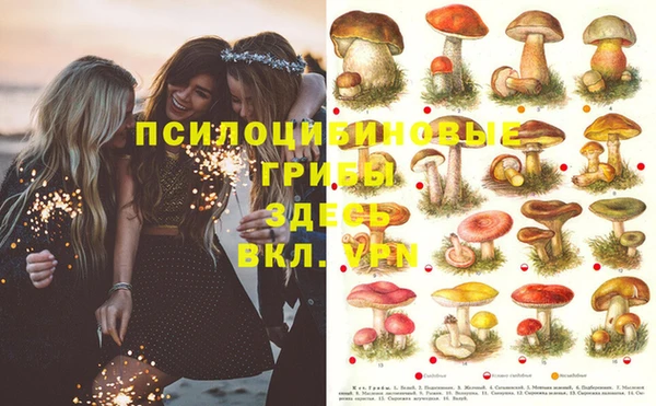прущие крисы Алзамай