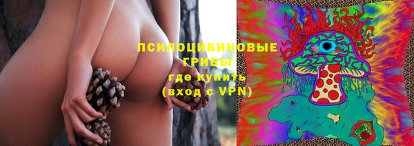 прущие крисы Алзамай