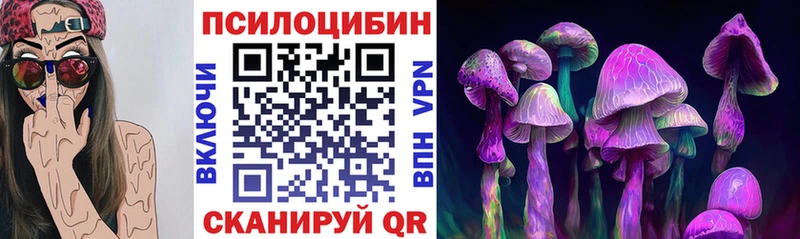 Псилоцибиновые грибы MAGIC MUSHROOMS где купить наркоту Морозовск