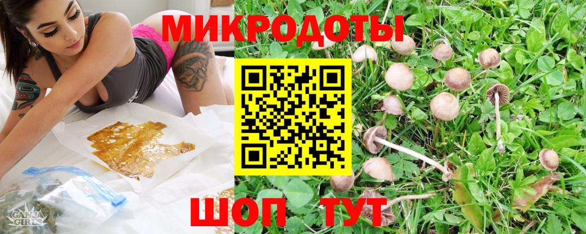 Морозовск  Псилоцибиновые грибы мицелий  Вход с VPN  Псилоцибиновые грибы Psilocybine cubensis 